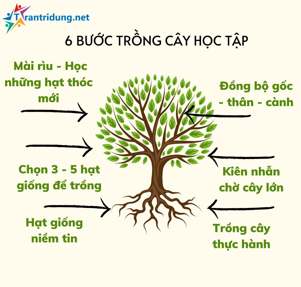 Cây Học Tập